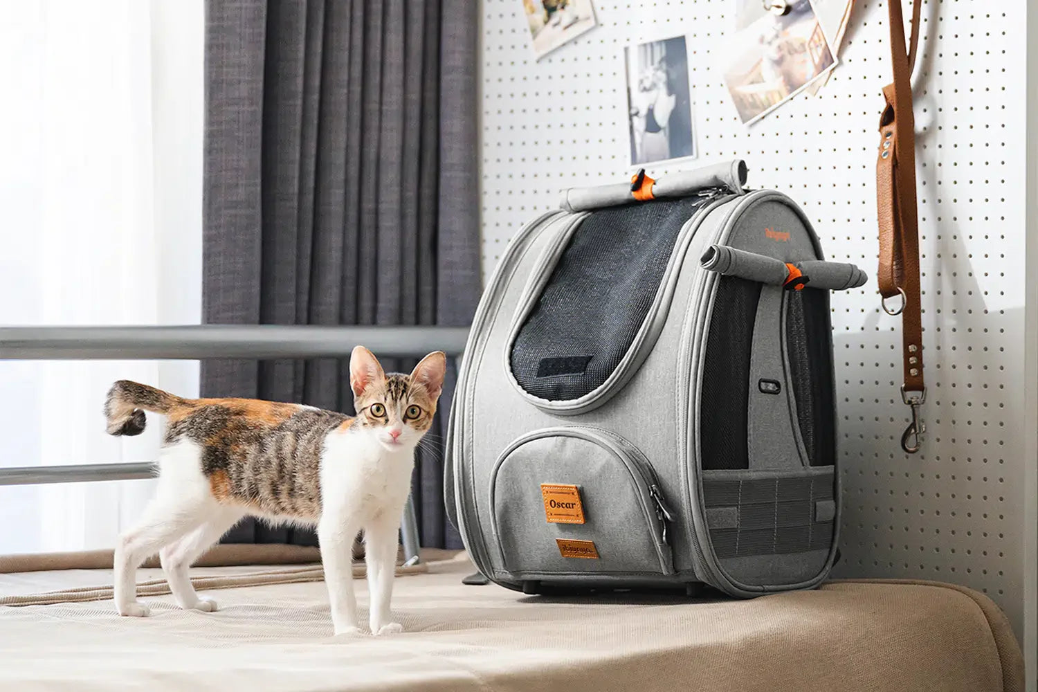 Adventure Cat Carrier Backpack with Window Airline Approved Cat Bag