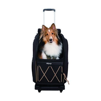 Folding Cart Trolley With 4 Spinner Wheels for Pet Carriers