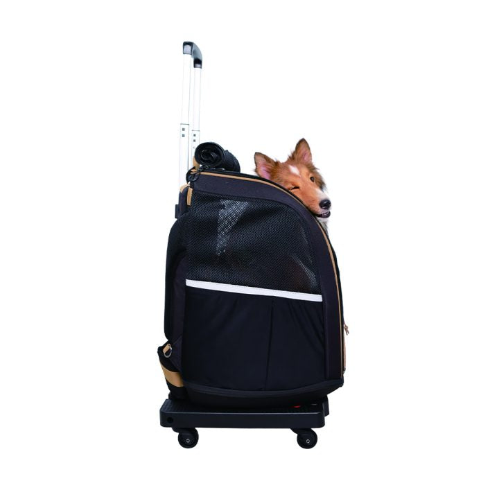 Folding Cart Trolley With 4 Spinner Wheels for Pet Carriers