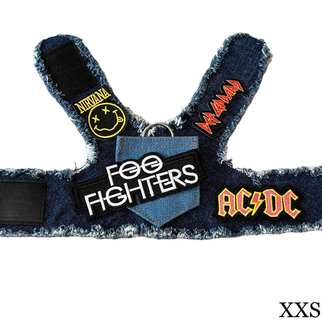 Foo Fighters Harness