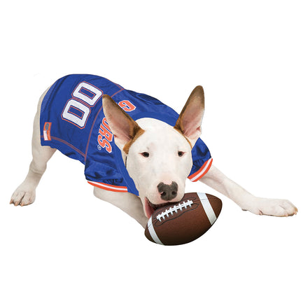 Florida Gators Dog Jersey