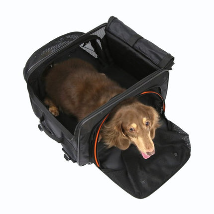 JetPaw 3-in-One Pet Stroller