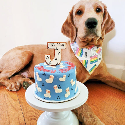 First Birthday Cake Dog Bandana