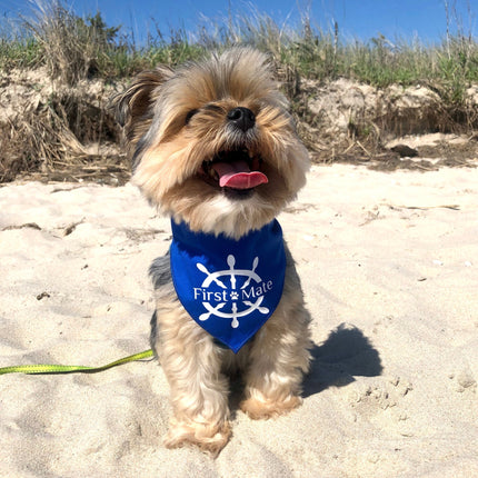 First Mate Dog Bandana