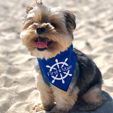 First Mate Dog Bandana