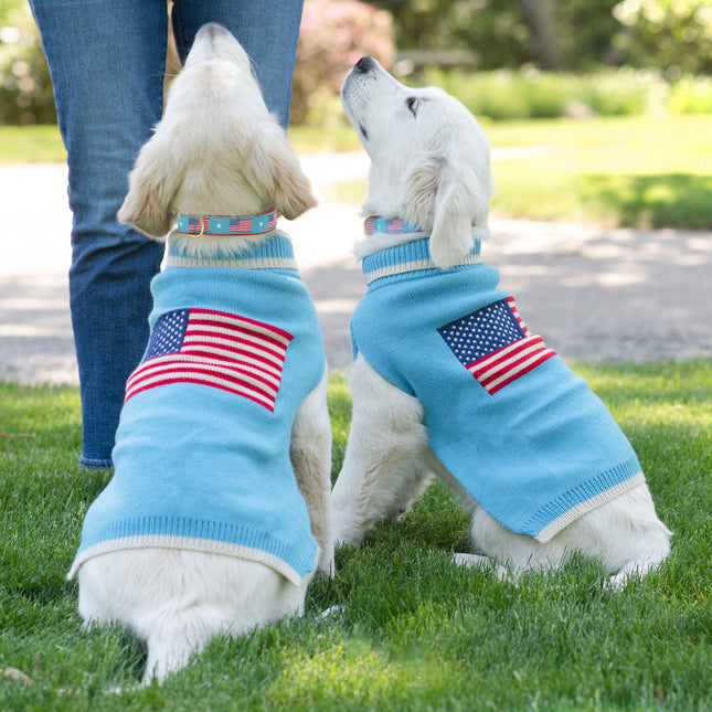 Flag Day Sweater