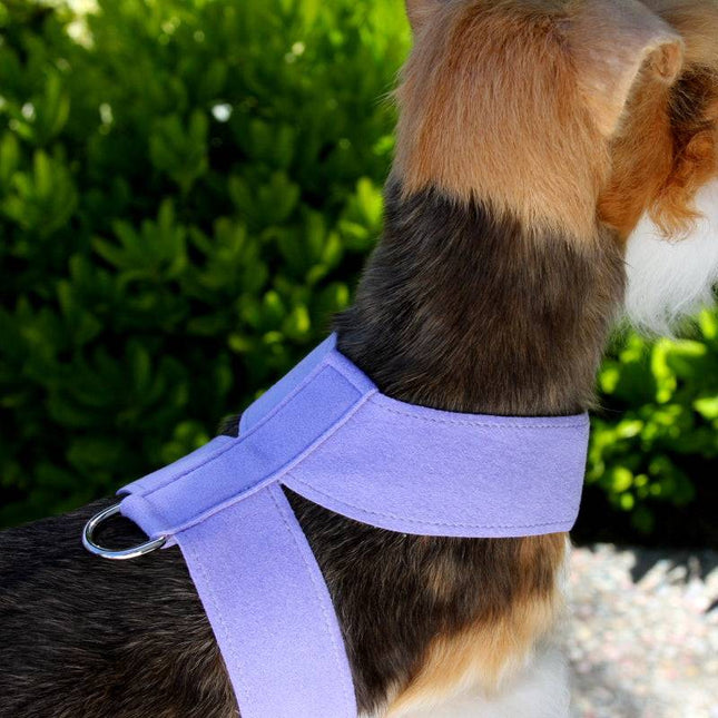 Tinkie Harness-Pretty Pastels