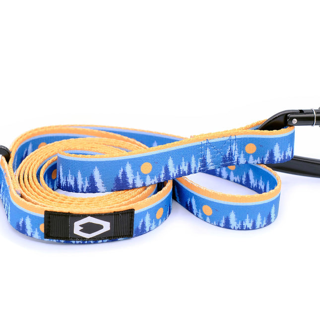 Outdoor Style Frozen Forest Nylon Dog Leash