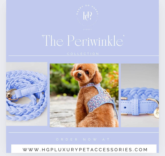 The Periwinkle Dog Harness