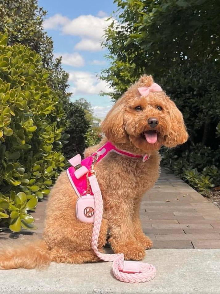 The Fuchsia Dog Harness