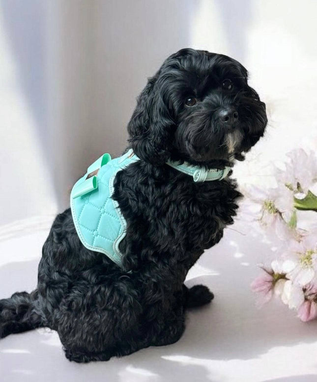 The Miss Aquamarine Dog Harness