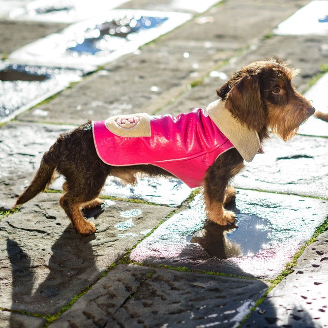 Pink Coated