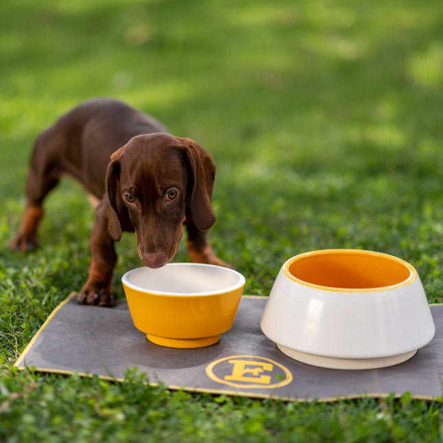 Yellow-Bowl Mat