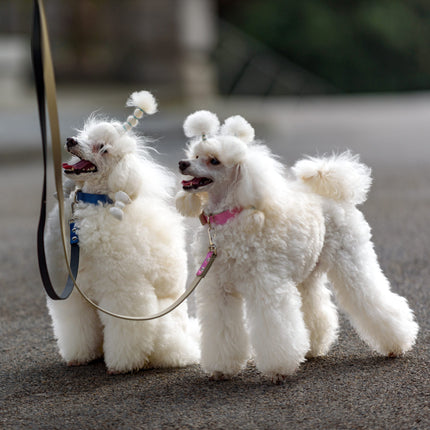 Metallic Pink-Leash