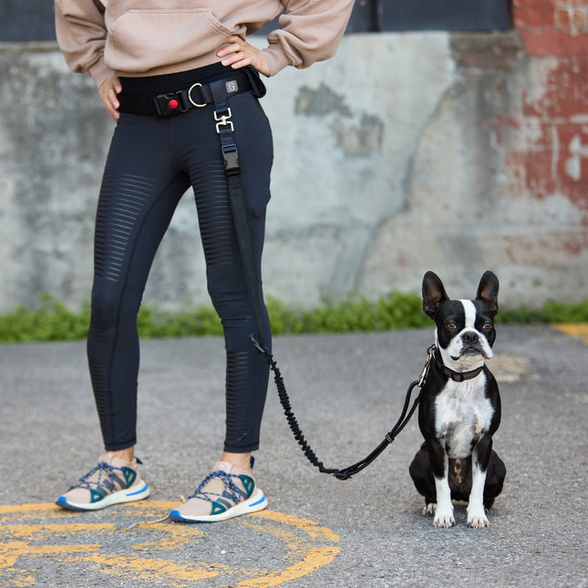 Waist Belt & Bungee Leash