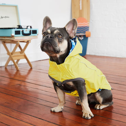 Reversible Elasto-Fit Raincoat - Yellow/Blue