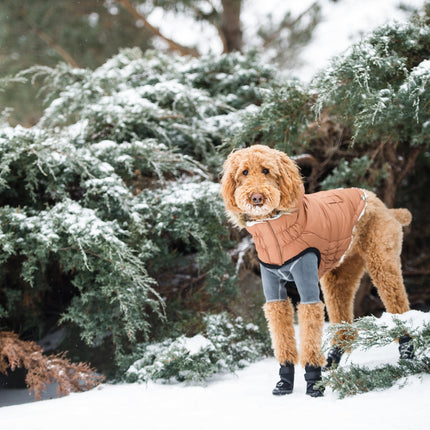 Urban Parka - Caramel