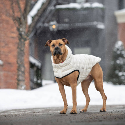 Cloud Parka