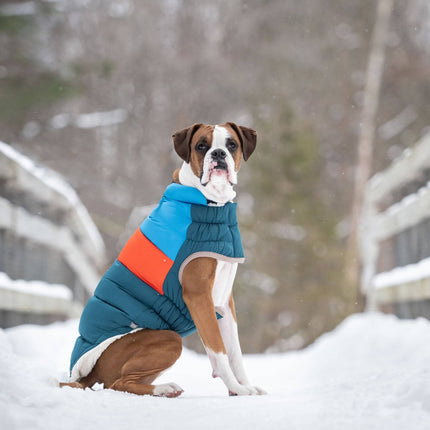 Color Block Puffer