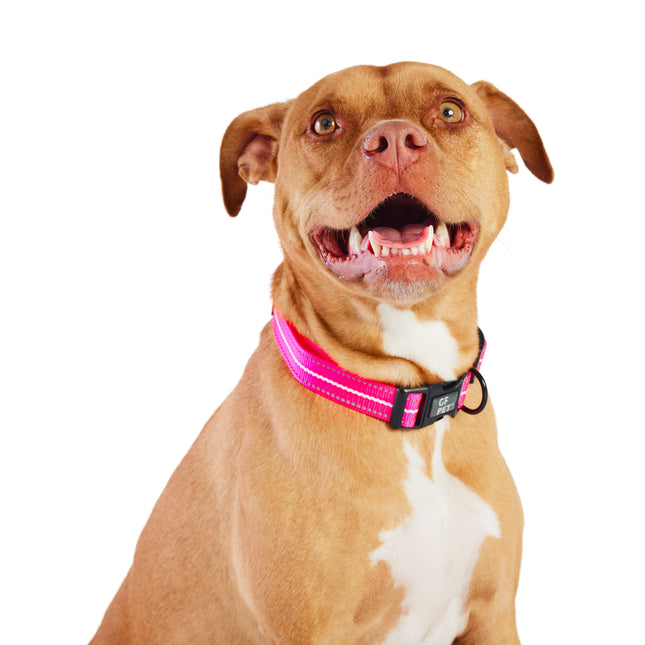 Reflective Collar - Neon Pink