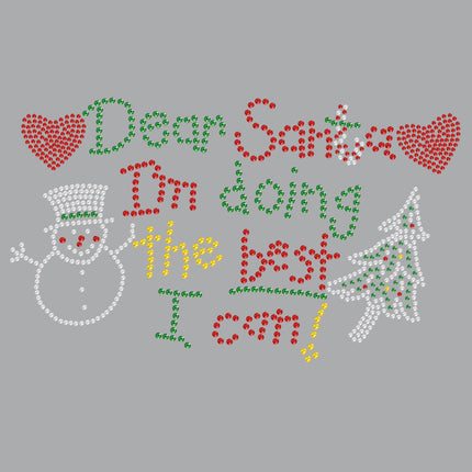 Dear Santa I'm Doing the Best I Can - Women's T-shirt