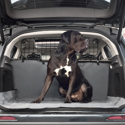 Pet Cargo Cover