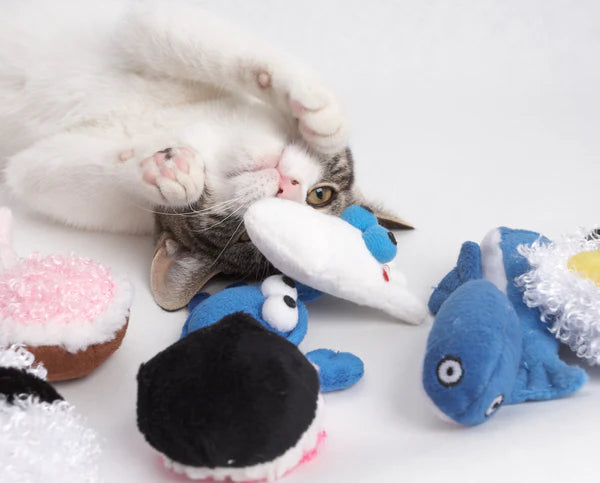 Funky Feline Catnip Toys