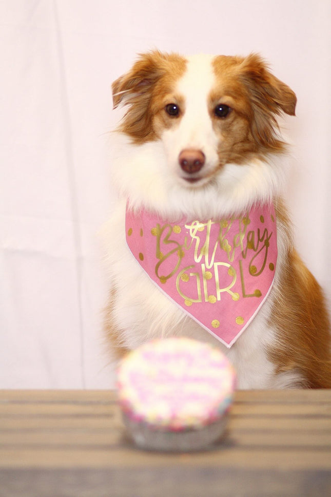 Gold Foil Birthday Girl Bandana