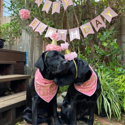 Gold Foil Birthday Girl Bandana