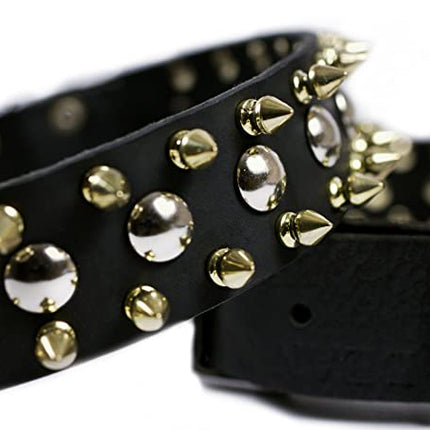 Golden Spike Collar 1 1/2" Width