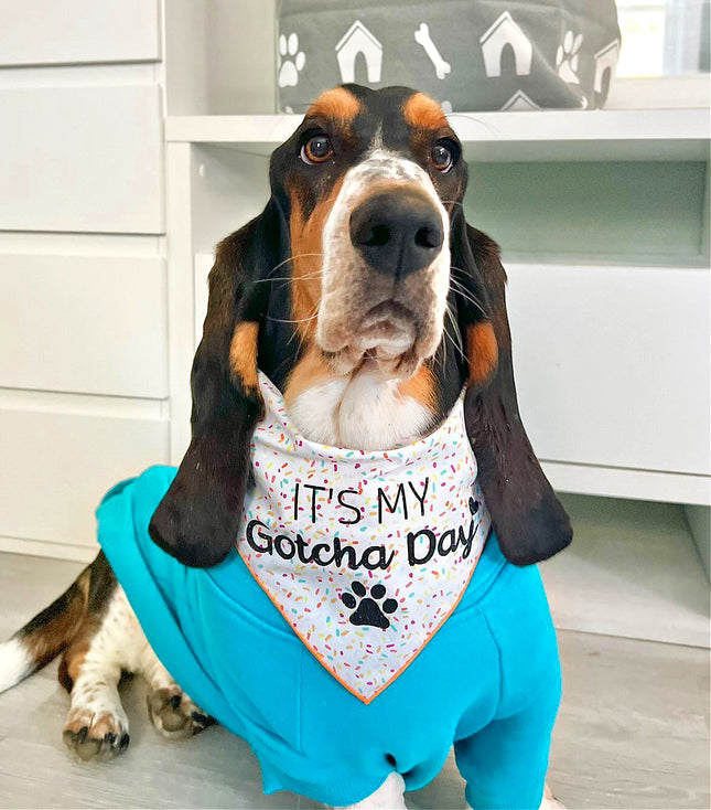 Gotcha Day Dog Birthday Bandana