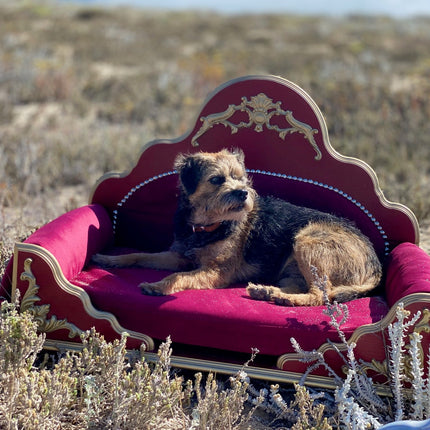 Grace Kelly: Luxury Dog Bed, Bordeaux