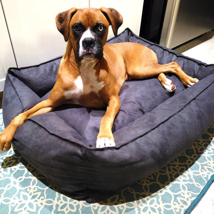 Oasis Plush Pillow Dog Bed