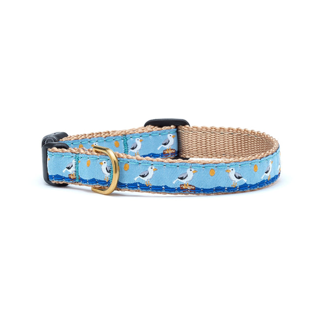 Gull Watch Small Breed Dog Collar