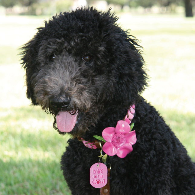 Shades of Pink Leather Dog Collar