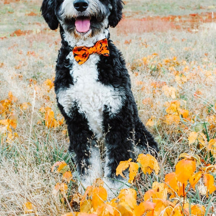 Halloween Bow Ties