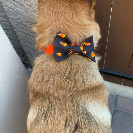 Halloween Bow Ties