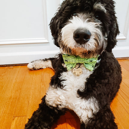 Halloween Bow Ties