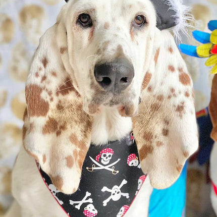 Halloween Dog Bandana Jolly Roger Skull