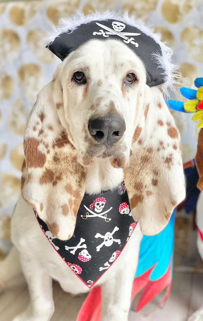 Halloween Dog Bandana Jolly Roger Skull