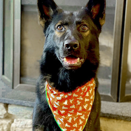 Halloween Ghost Dog Bandana