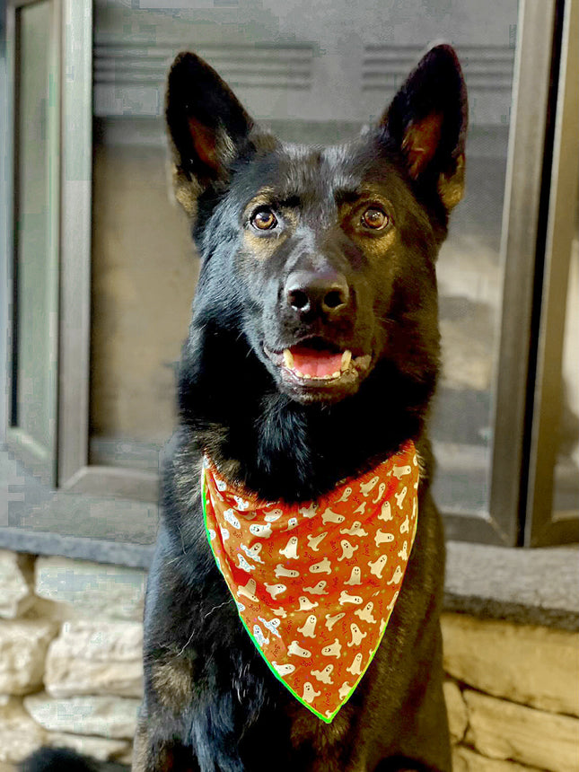 Halloween Ghost Dog Bandana