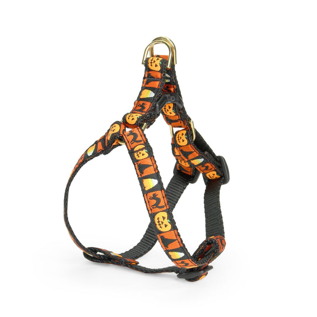 Halloween Small Breed Dog Harness