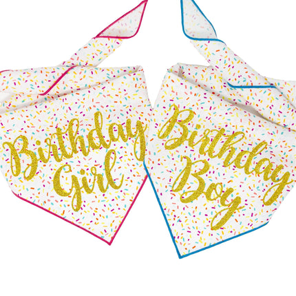 Happy Birthday Boy or Girl Tie Dog Bandana