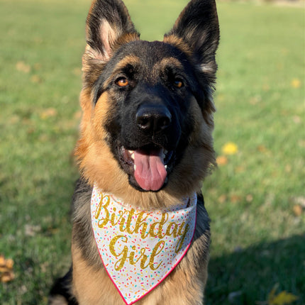 Happy Birthday Boy or Girl Tie Dog Bandana