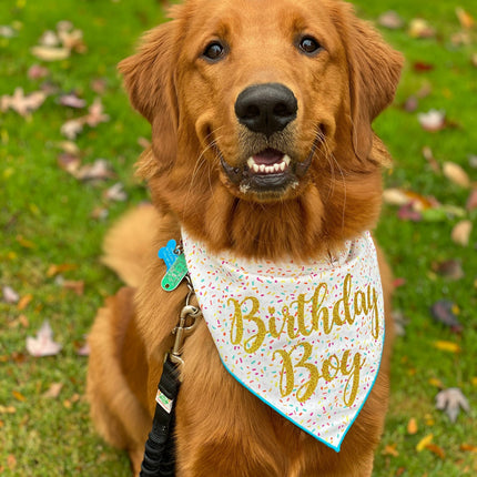 Happy Birthday Boy or Girl Tie Dog Bandana