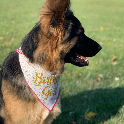 Happy Birthday Boy or Girl Tie Dog Bandana