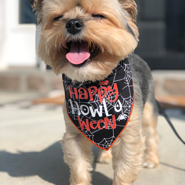 Happy Howl-O-Ween