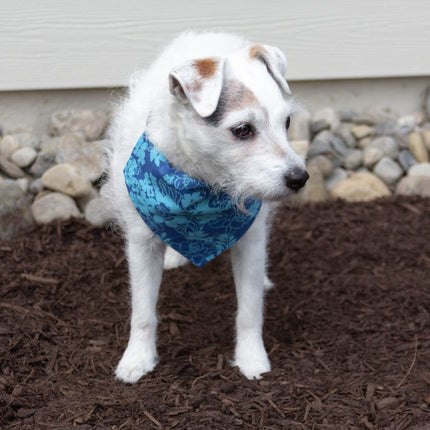 Hawaiian Hibiscus - Dog Bandana