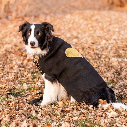 Heart of Gold Sweater